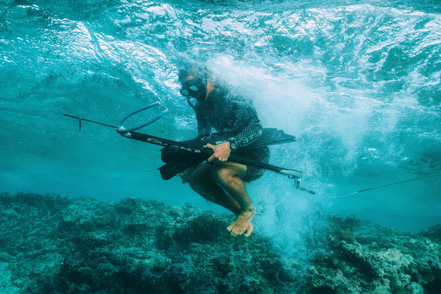 Water & Solitude: The Story of a Tongan Whale Guide