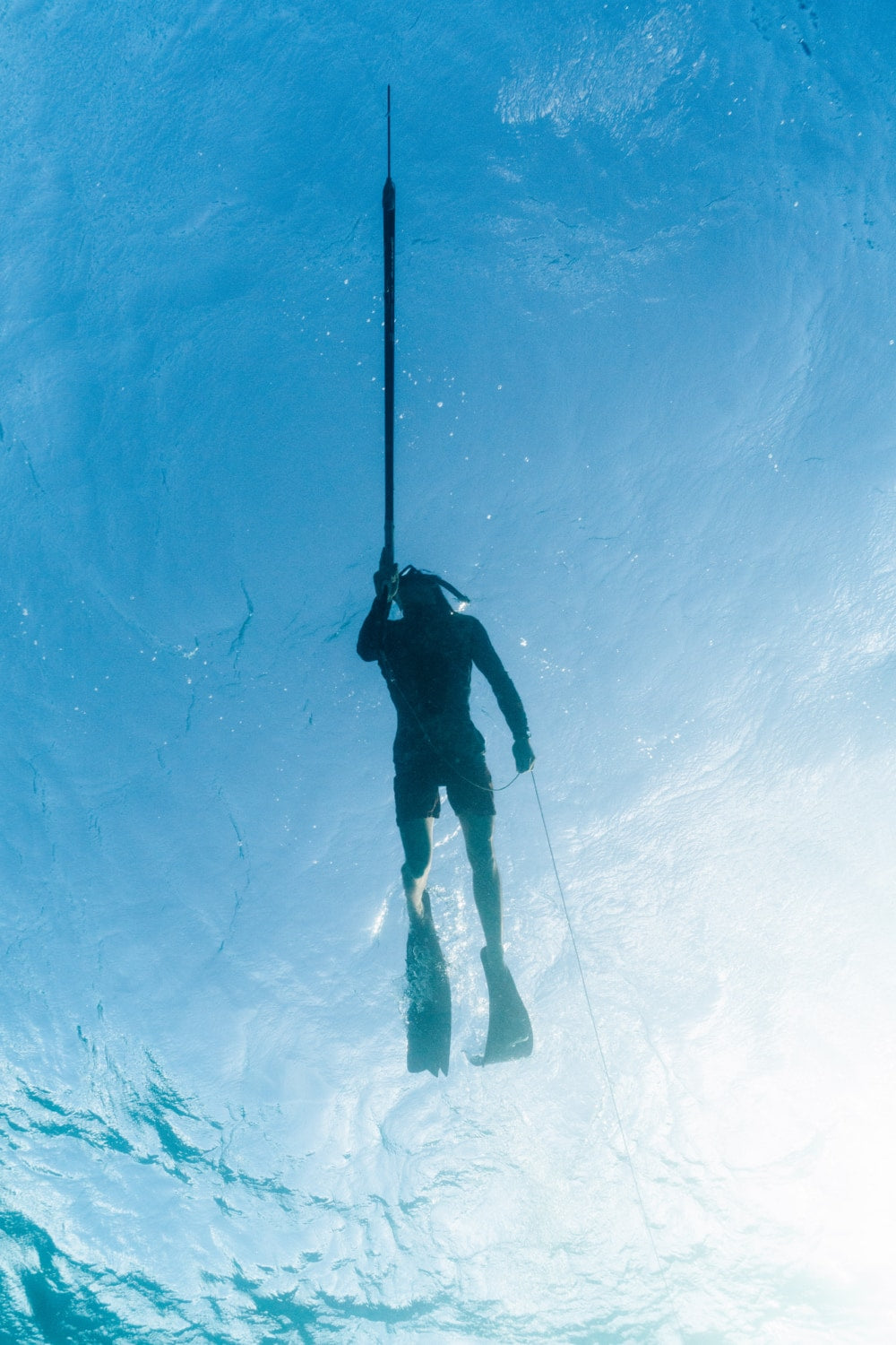 Vaer | Water & Solitude: Surviving as a Whale Guide in Tonga